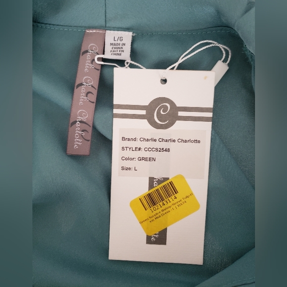 Charlie Charlie Charlotte sage green midi dress - Picture 7 of 8